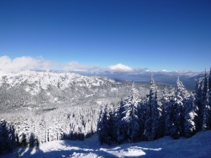 Trademark bluebird powder day at Sierra