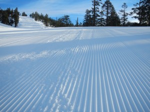 Untracked fresh groomers at Diamond Peak Ski Resort.