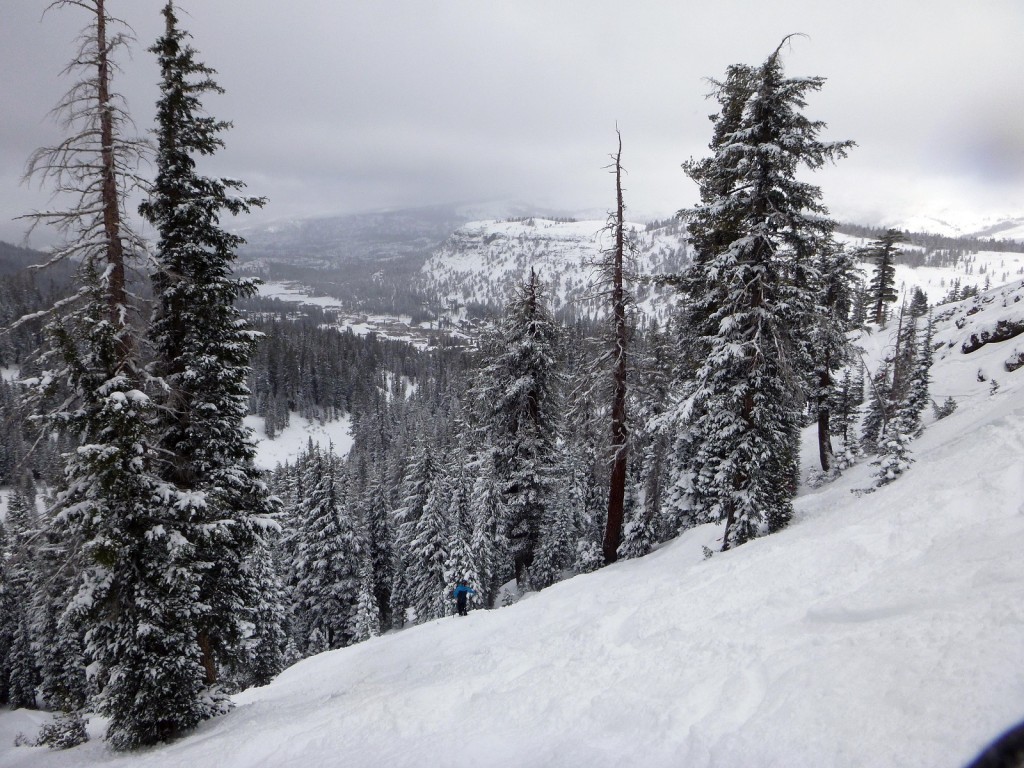 Gladed terrain skier's left of The Wall Kirkwood Ski Resort