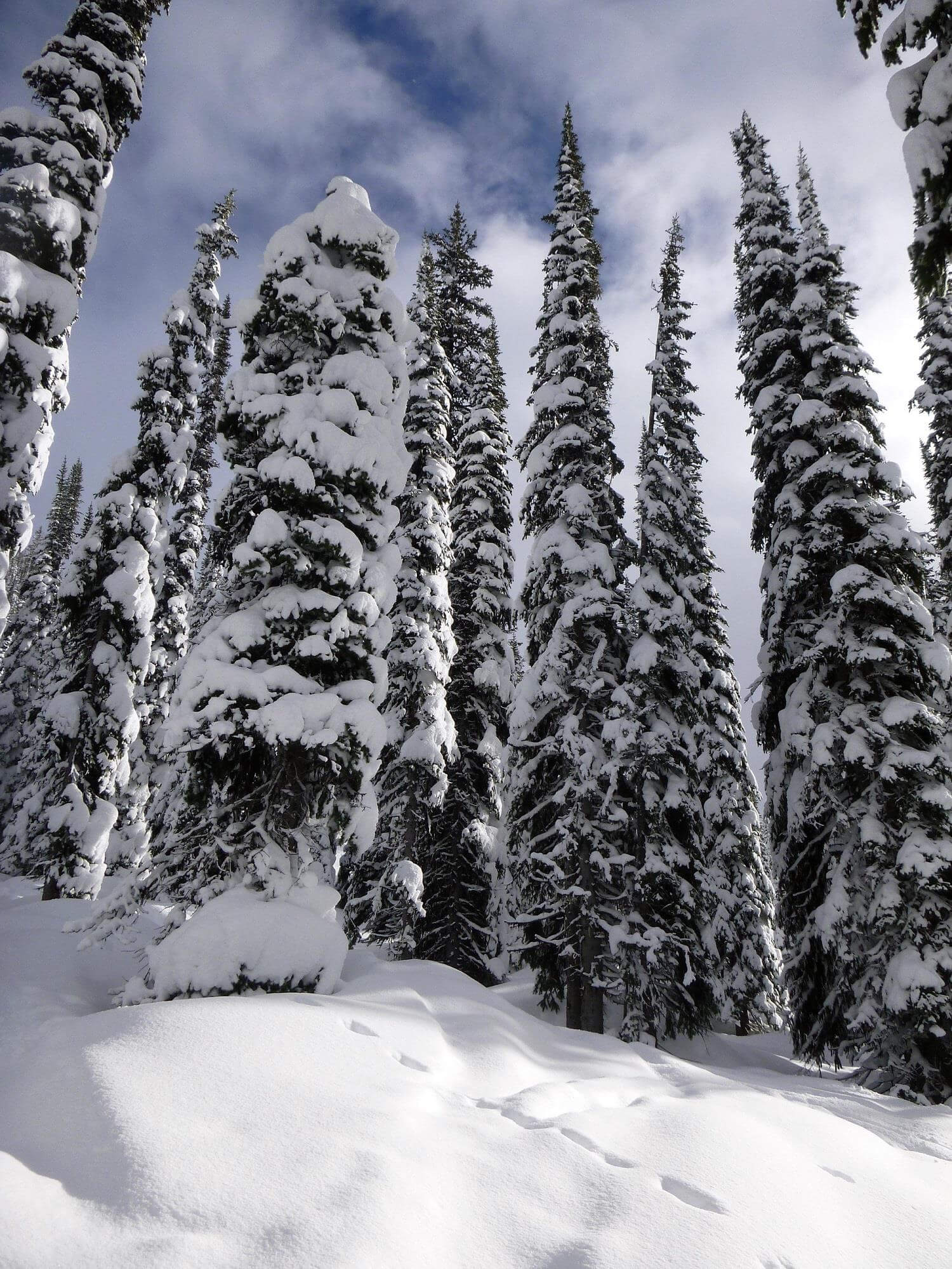 Revelstoke Mountain Resort