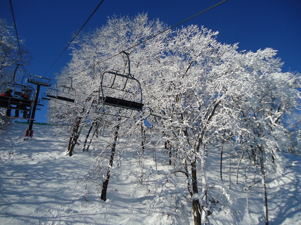 Tyrol_Basin_Terri_Wilhelm