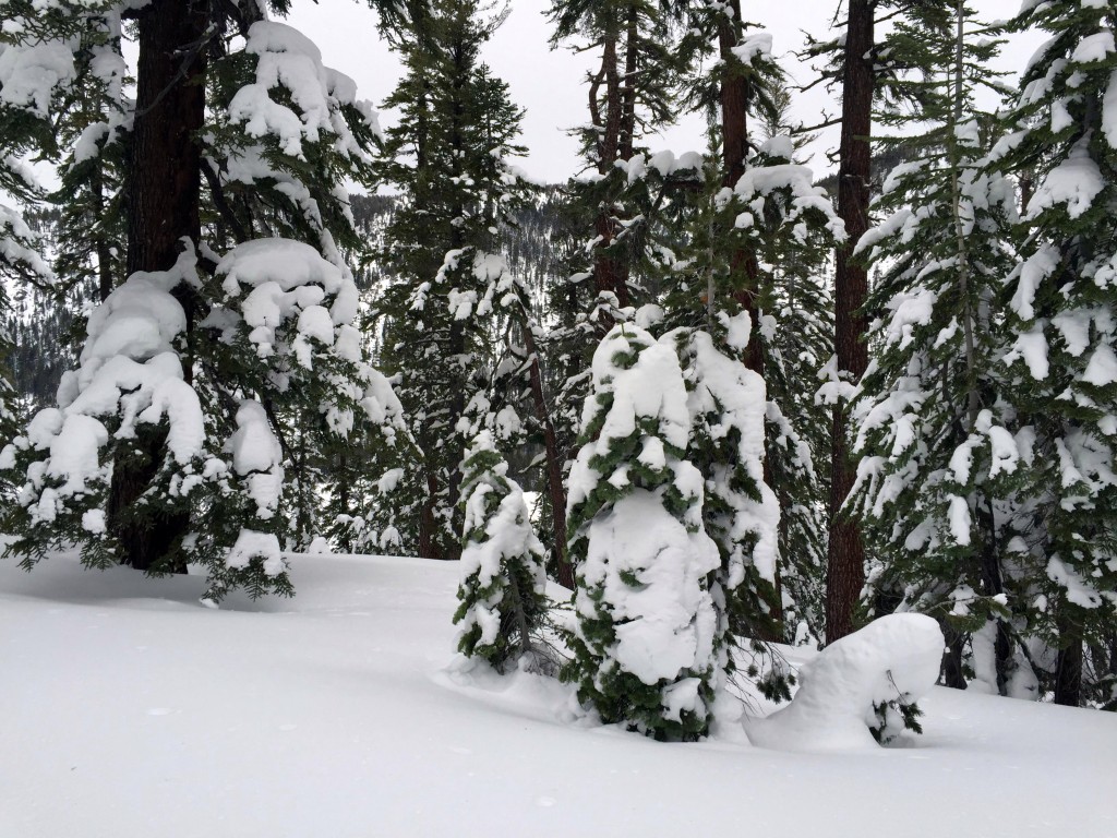 Powder Mecca - Waterhouse Peak