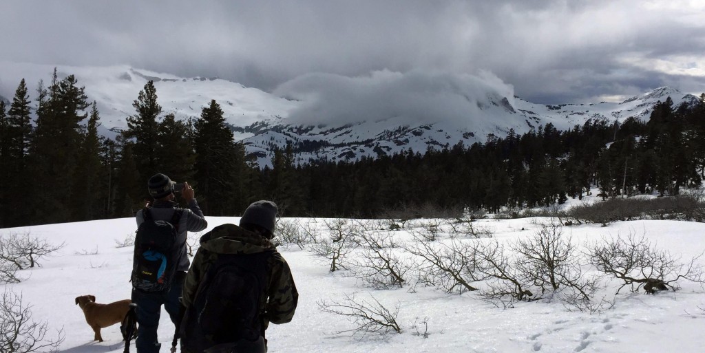 Mt Tallac Storm Brewing