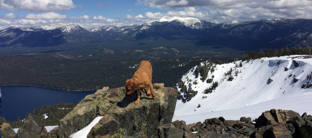 Mt Tallac Zeus