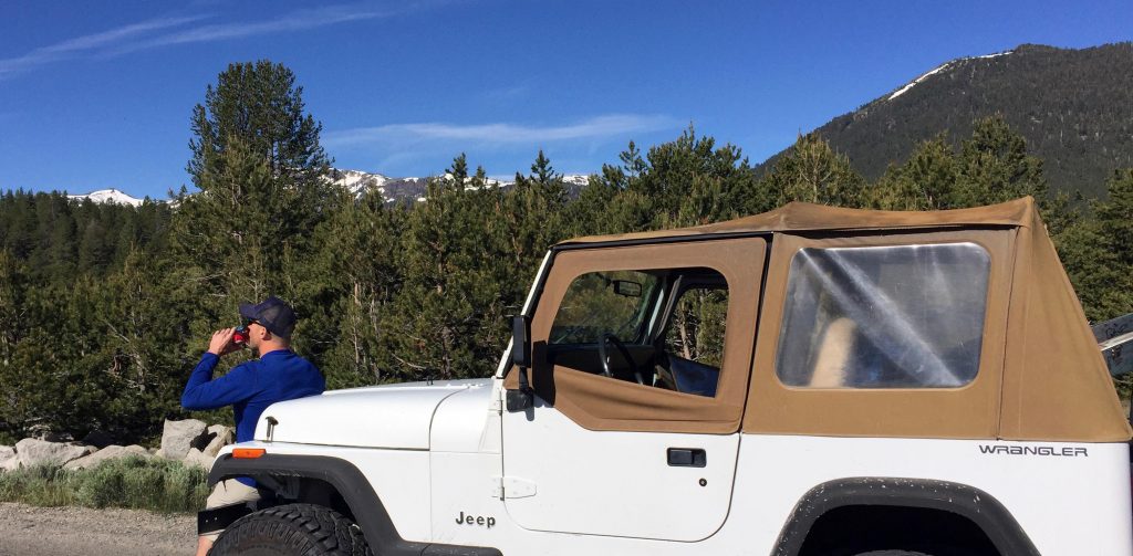 Carson Pass Jeep 1_cropped