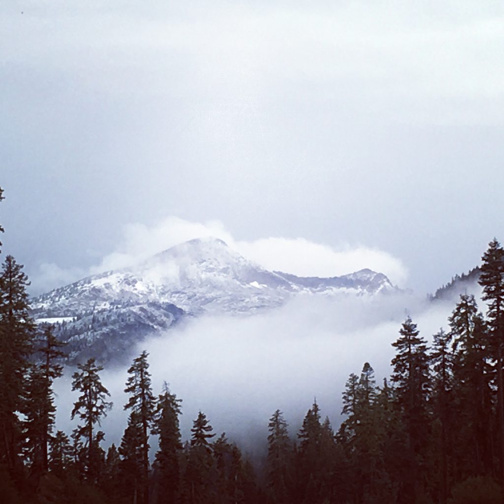 First snow in Sierra Nevadas Image taken by: Matt Palacio