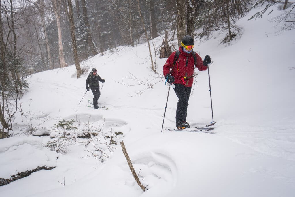 Bolton Valley Splitfest Catamount Trail Vermont Winter Maples Evergreens