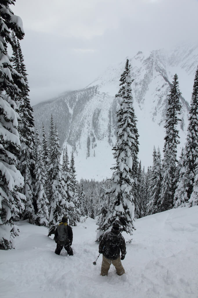 Canuck Splitfest Revelstoke Powder Splitboarding Backcountry