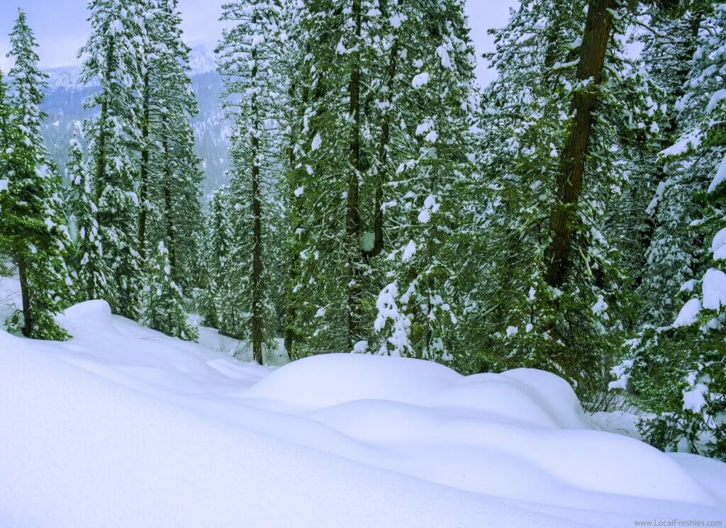 McCall Idaho Brundage Burgdorf Hot Springs Snowmobiling Pillow Lines Backcountry