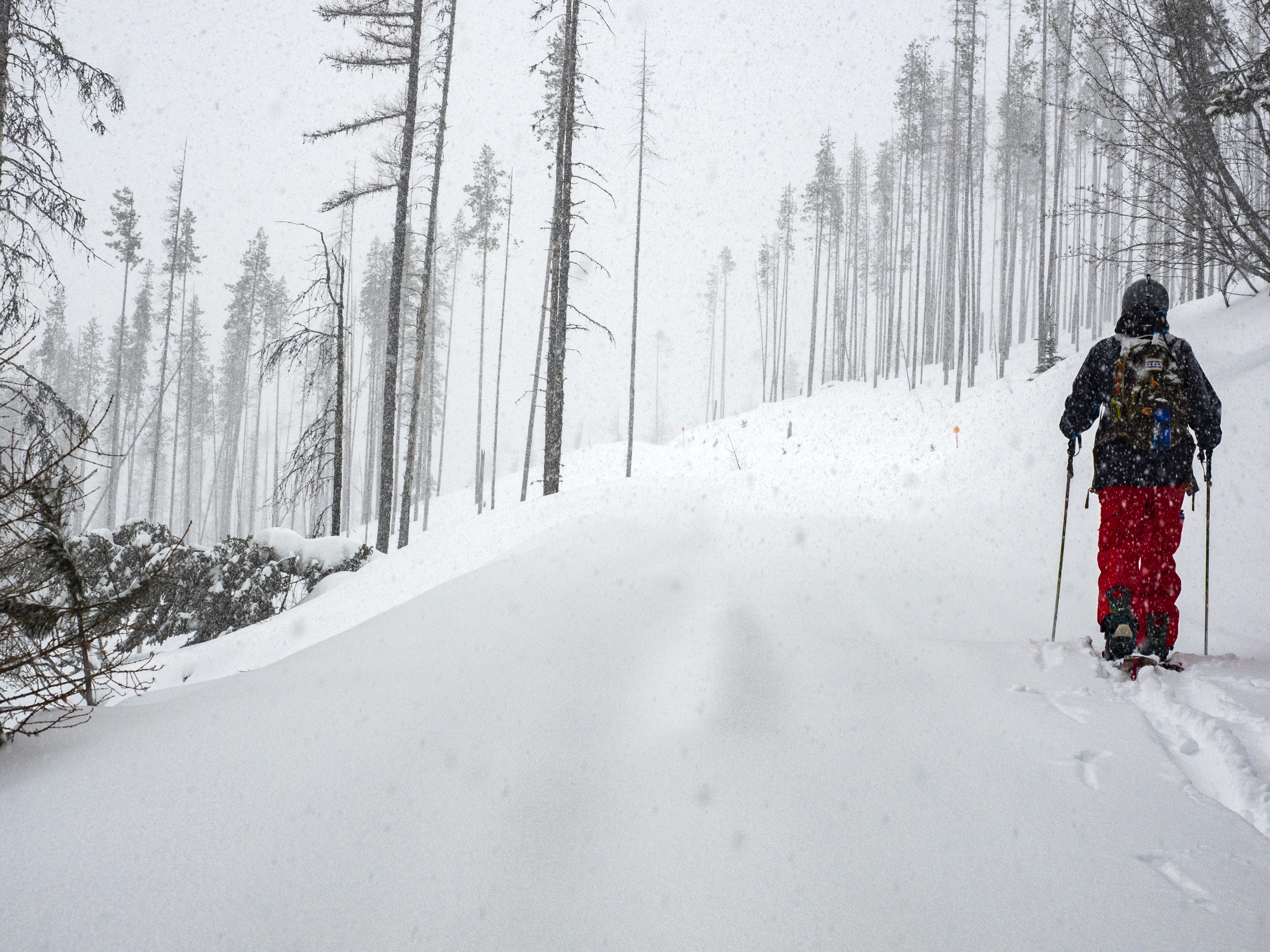 splitboarder skinning up railroad grade just outside of Lookout Pass Ski Area