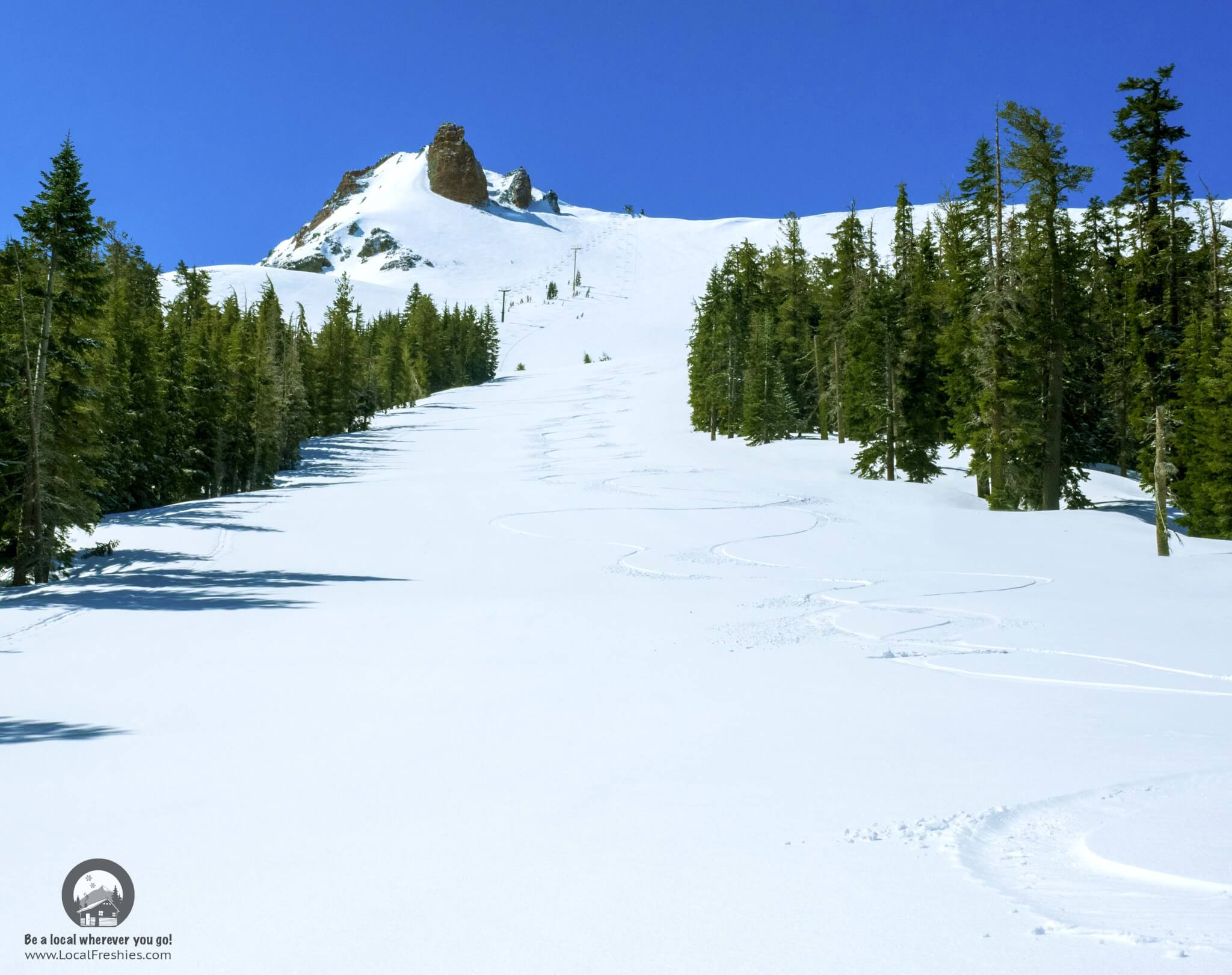 Lake Tahoe Carson Pass Powder day in May