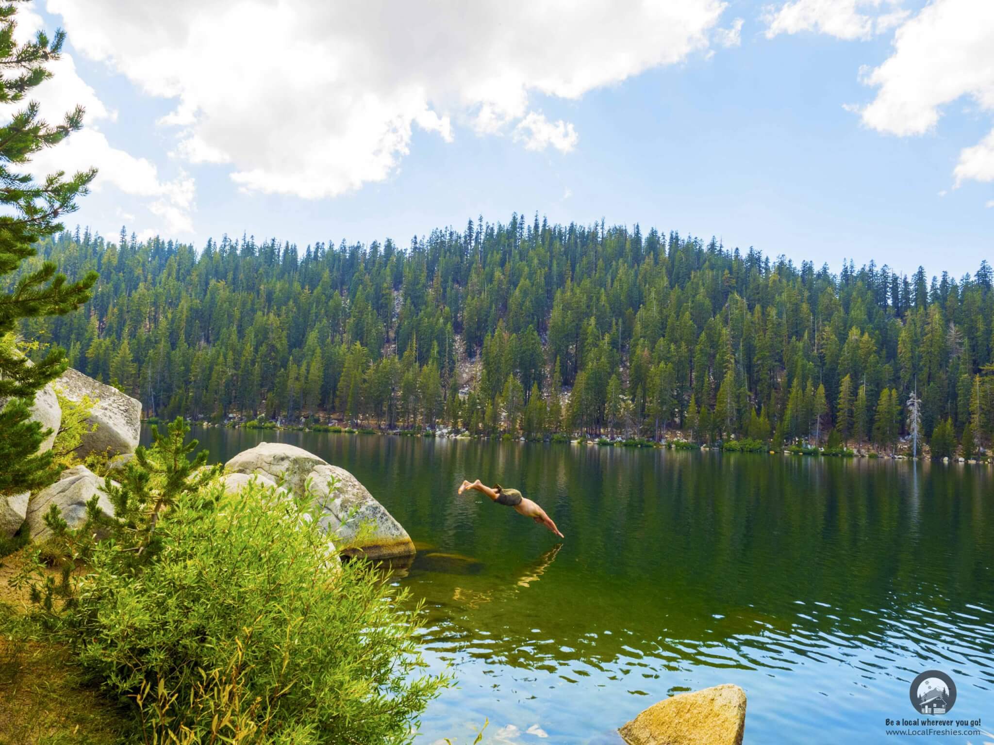 Person diving into Marlette Lake Nevada on a somewhat cloudy day