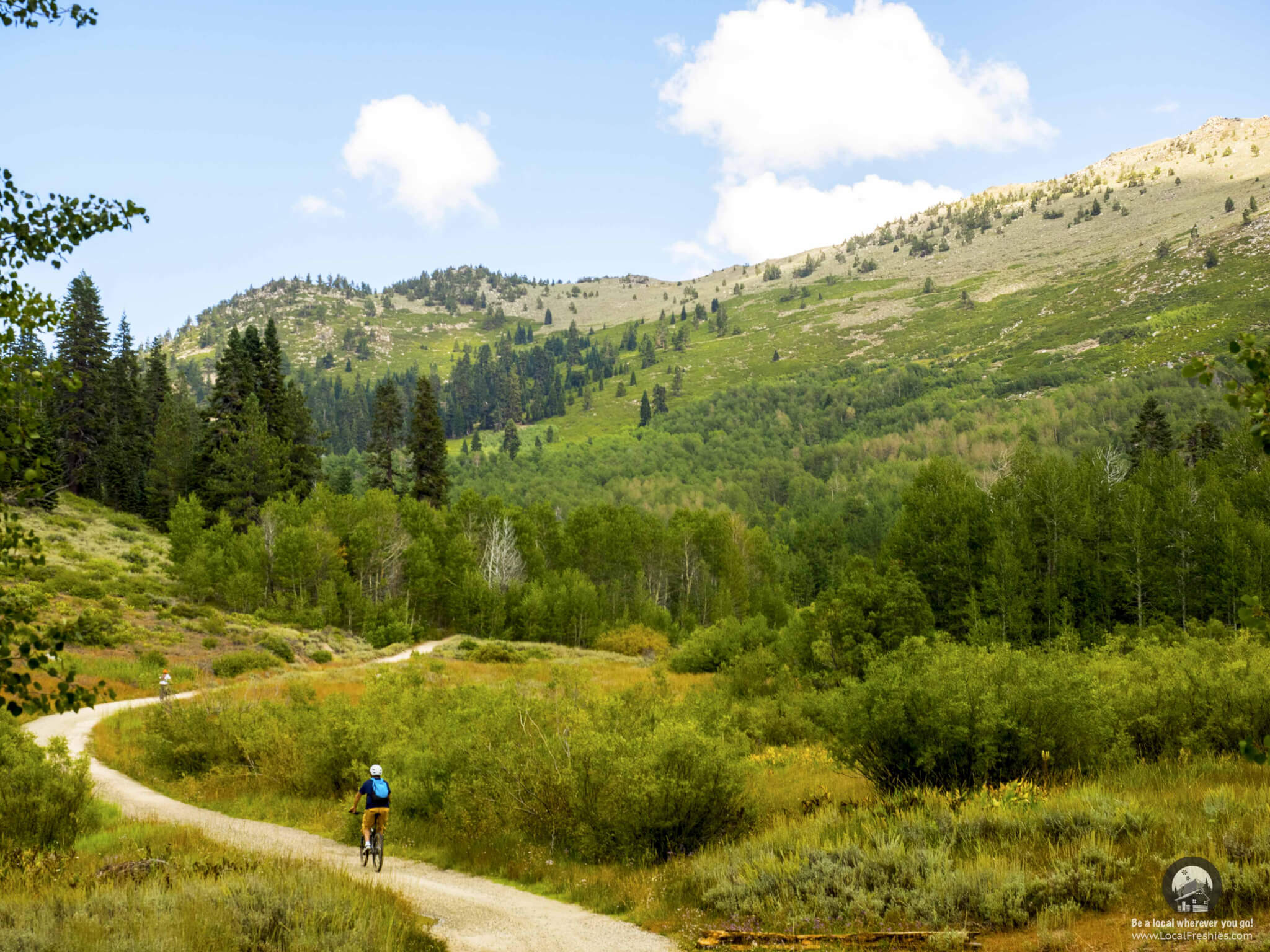 Flume Trail Incline Village Snowy Peak Lake Tahoe