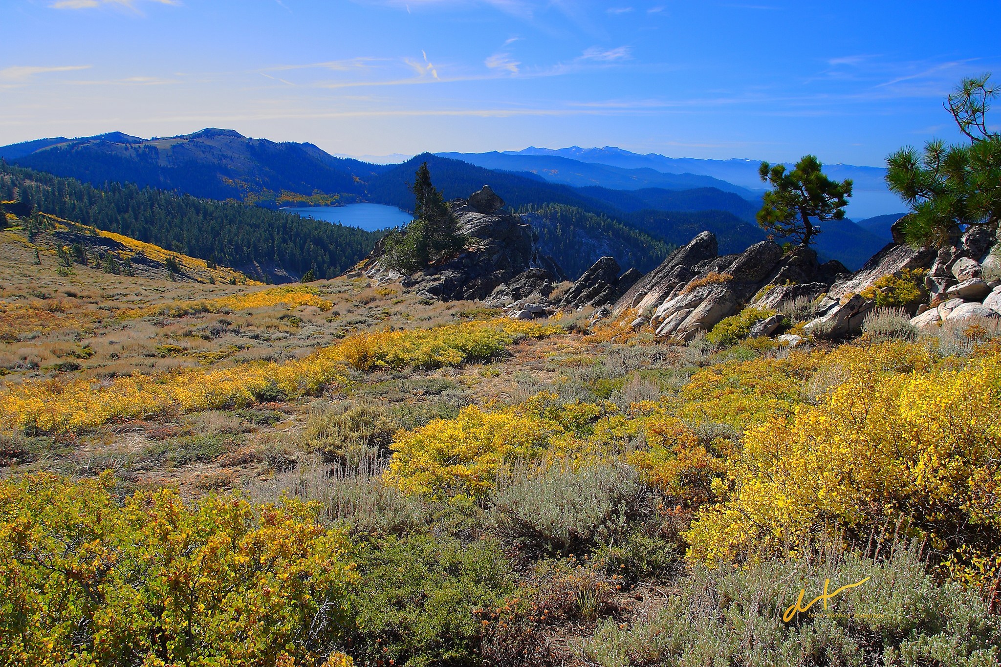 fall foliage near Marlette Lake overlooking Lake Tahoe in the distance