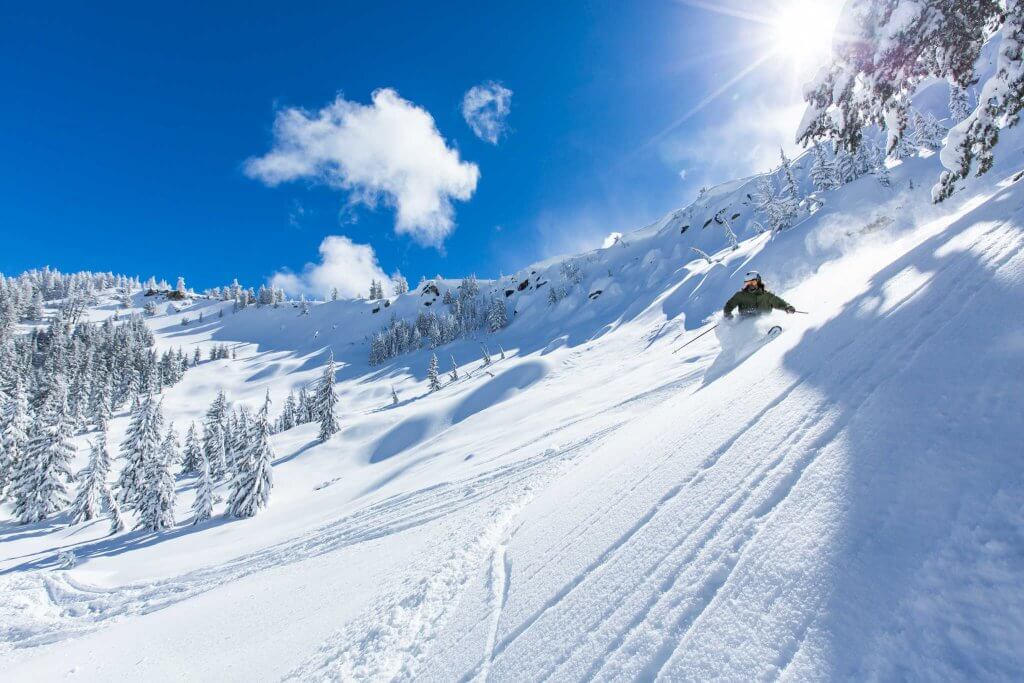 Ty Dayberry Lake Tahoe Telemark Skiing Powder Shot Future Freeheel Sierra At Tahoe