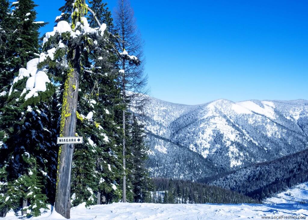 Lookout Pass Snow Trees Niagara