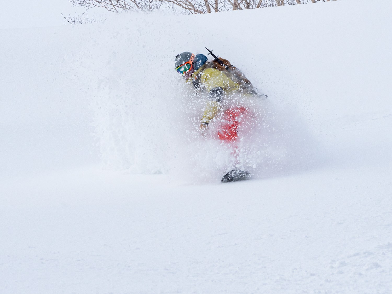powder cat skiing backcountry splitboarding japan