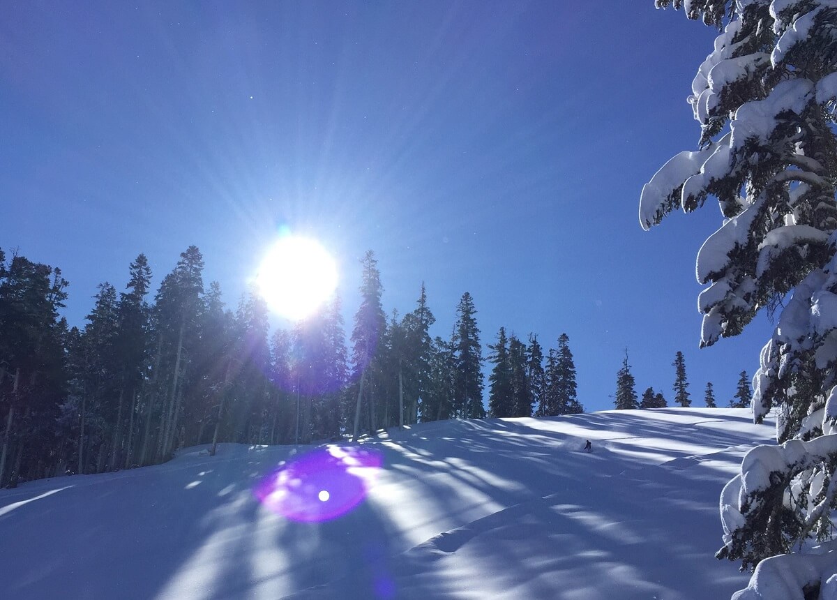 Sierra at Tahoe Powder Shots