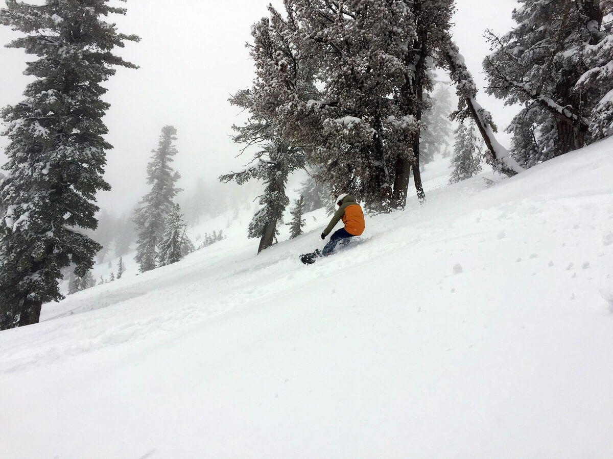 Mt Rose Powder Day Pineapple Express Miracle March