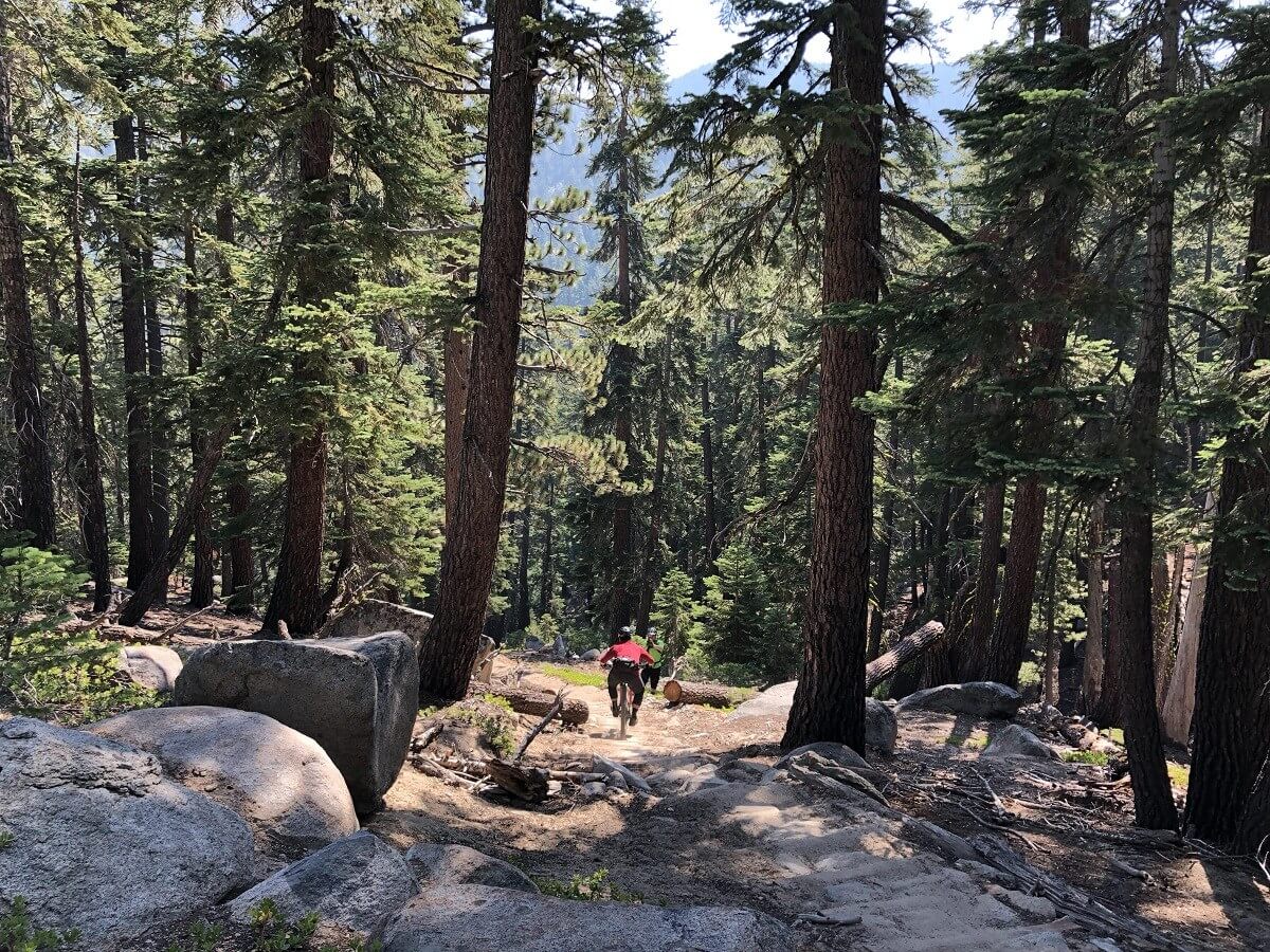 staircase segment on mr toads wild ride tahoe