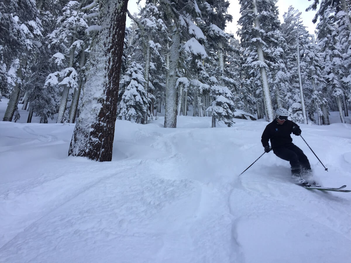 Sierra-at-Tahoe Travel Guide powder day tree skiing