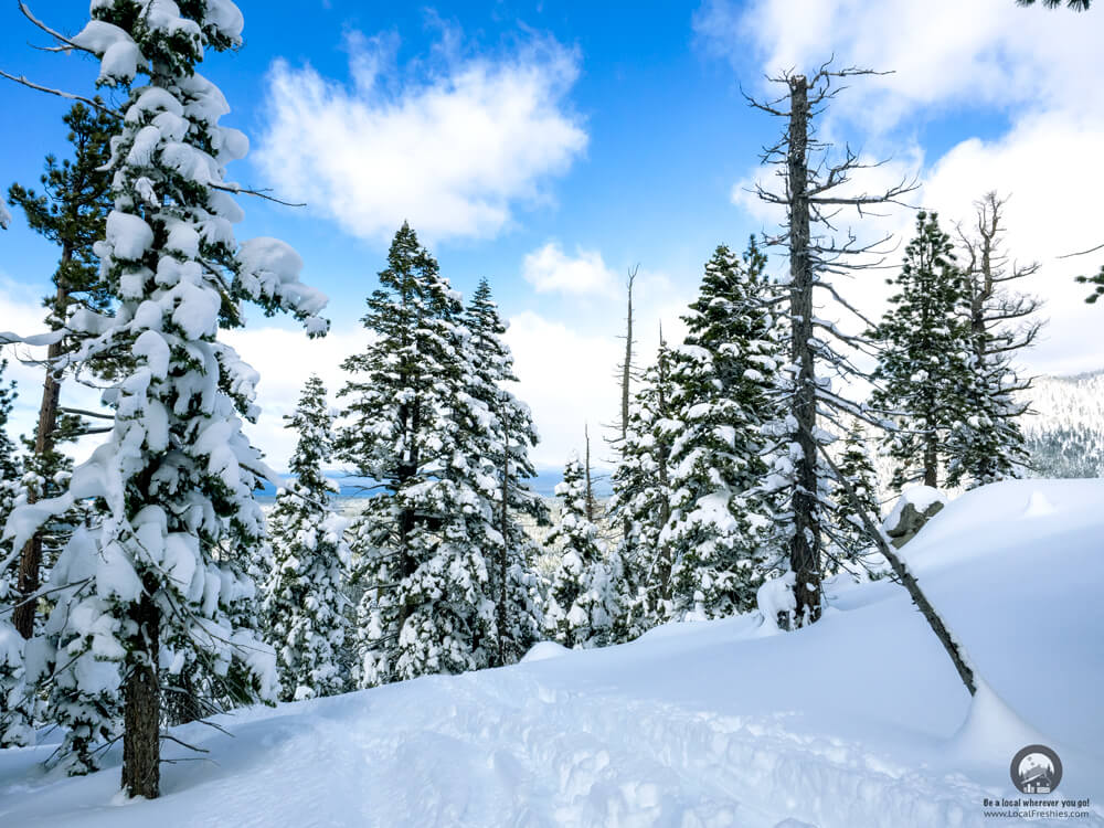 Backcountry Skiing Lake Tahoe Trimmer Peak Splitboarding