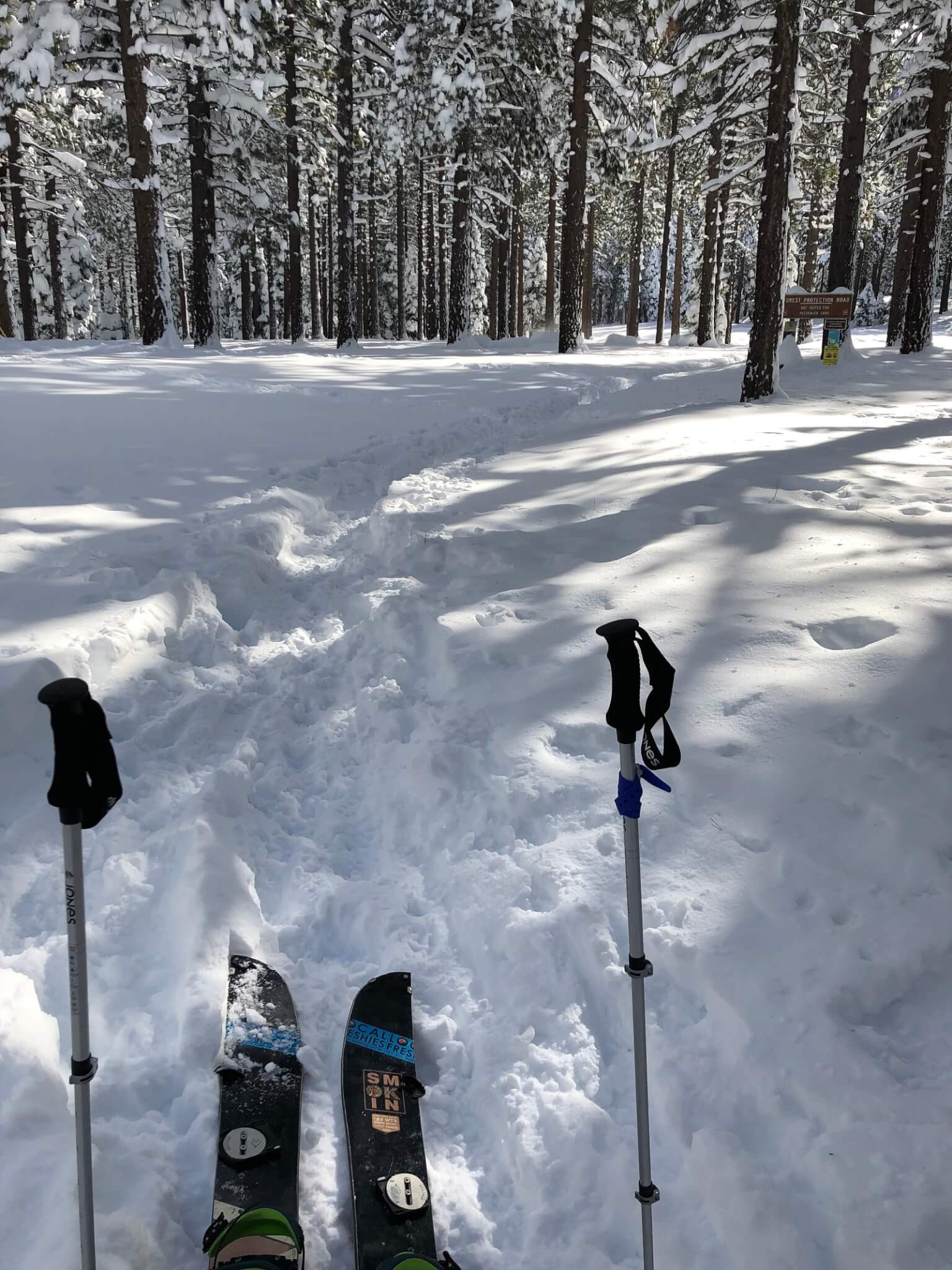 Backcountry Skiing Lake Tahoe Trimmer Peak Splitboarding