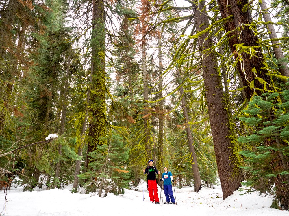 Glacier Point Ski Hut Winter Snowshoeing Taft Point Pine Trees Yosemite National Park
