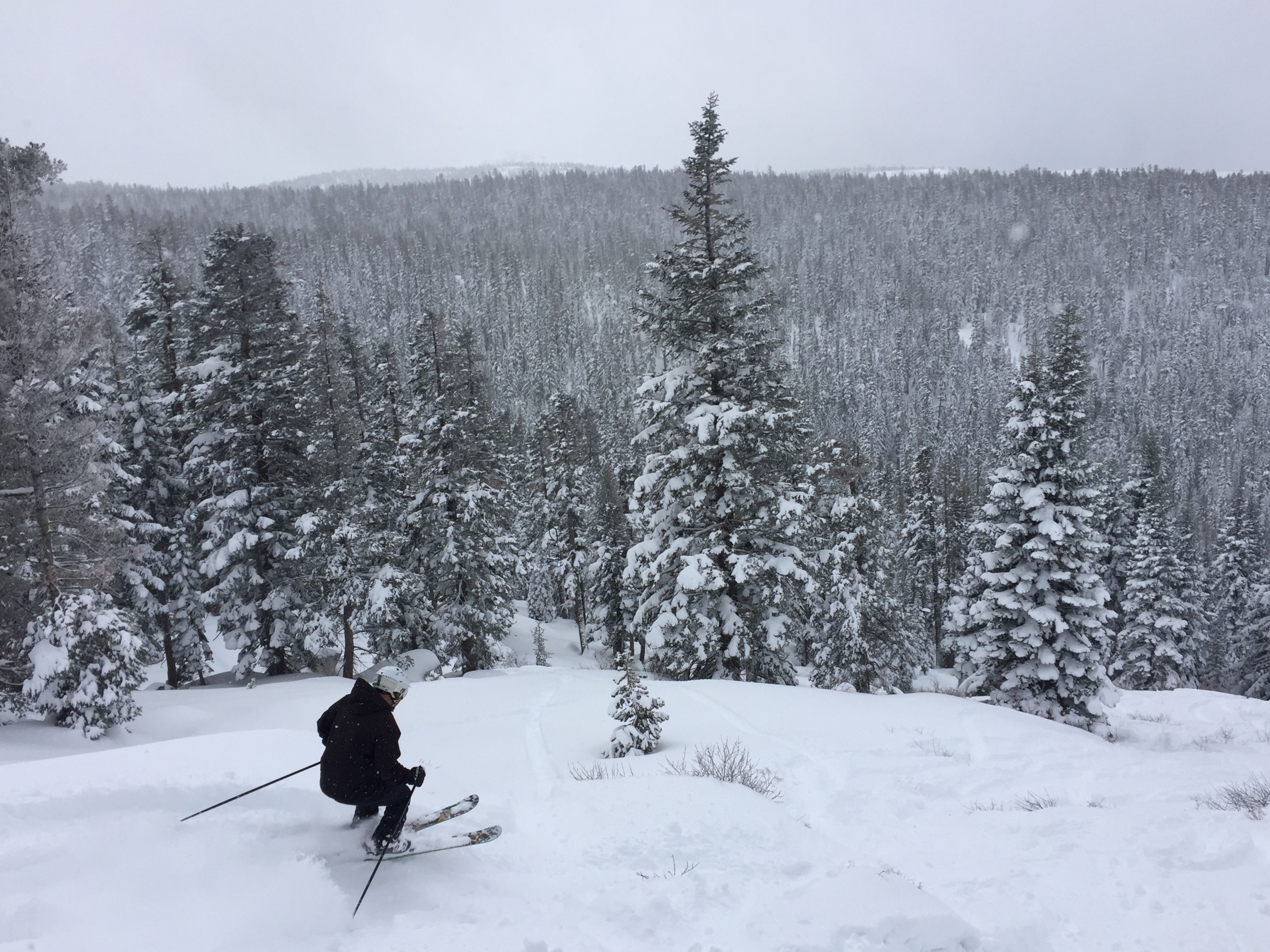 Sierra At Tahoe backside powder skiing California