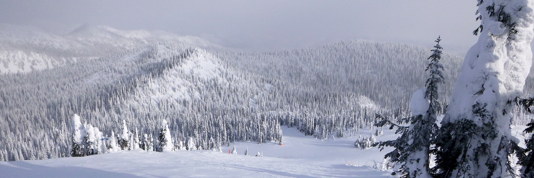 Whitefish Mountain Resort Big Mountain Backside Skiing Snowboarding