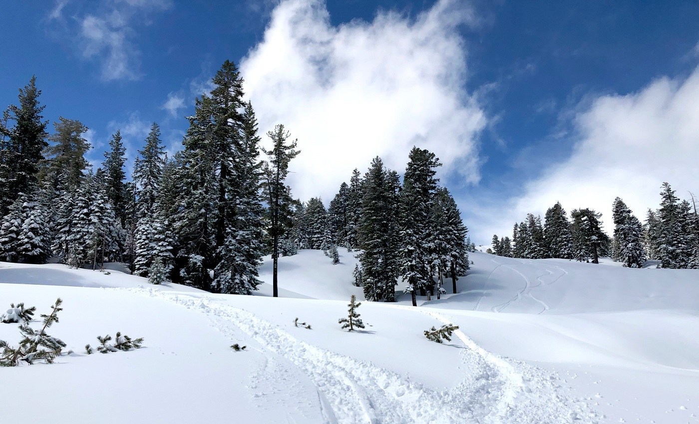 May Skiing In Lake Tahoe with a random powder day