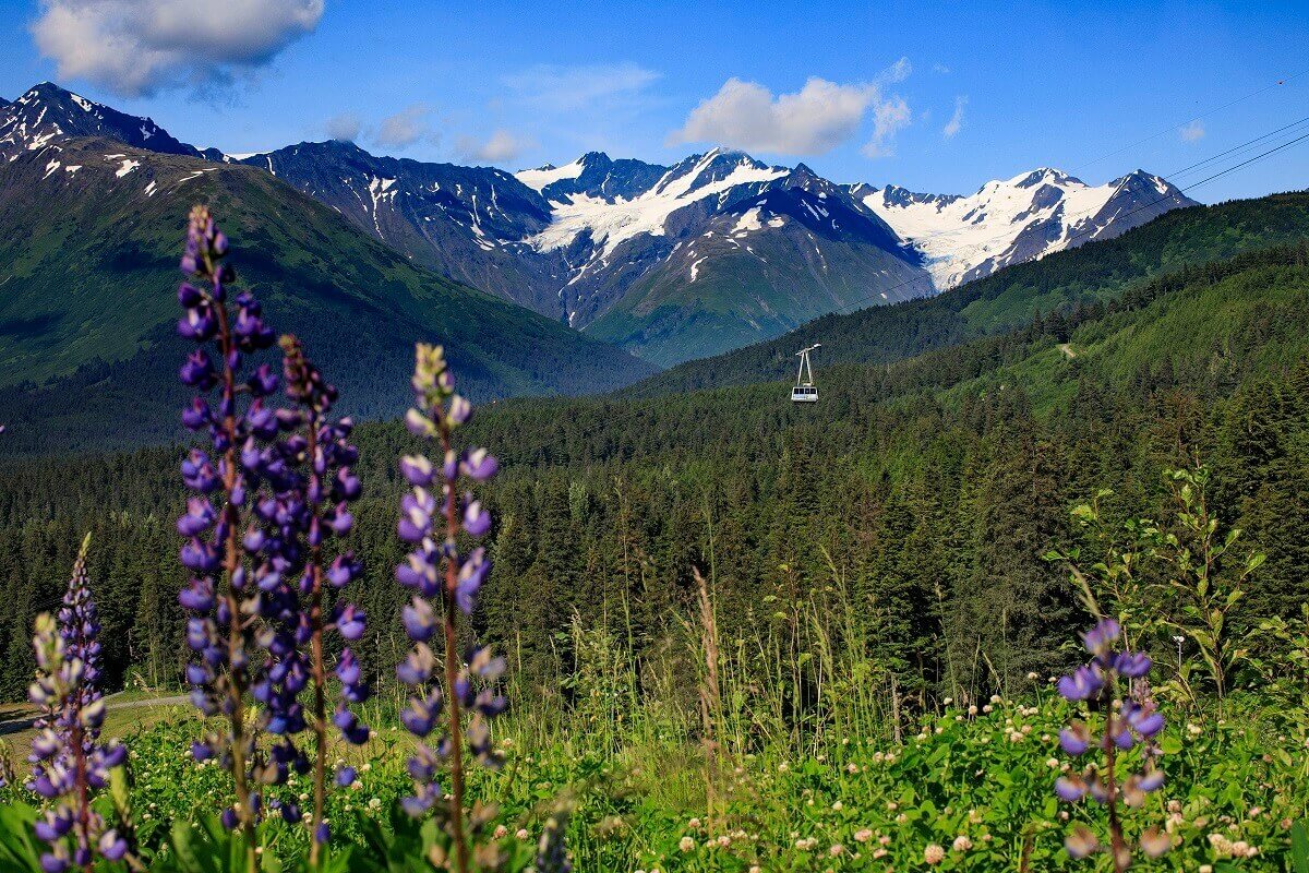 Summer Ski Towns to visit in the Summer Girdwood Alyeska Alaska Tram