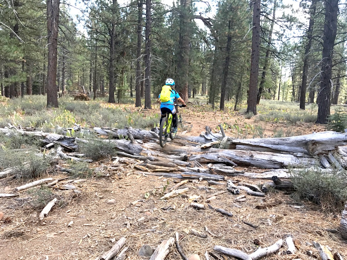 emigrant trail Truckee California Mountain Biking