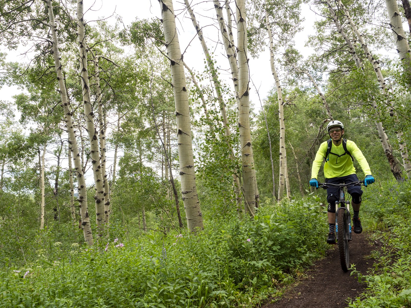 Grand Targhee Mountain Biking Wyoming Summer Norco Driggs Idaho