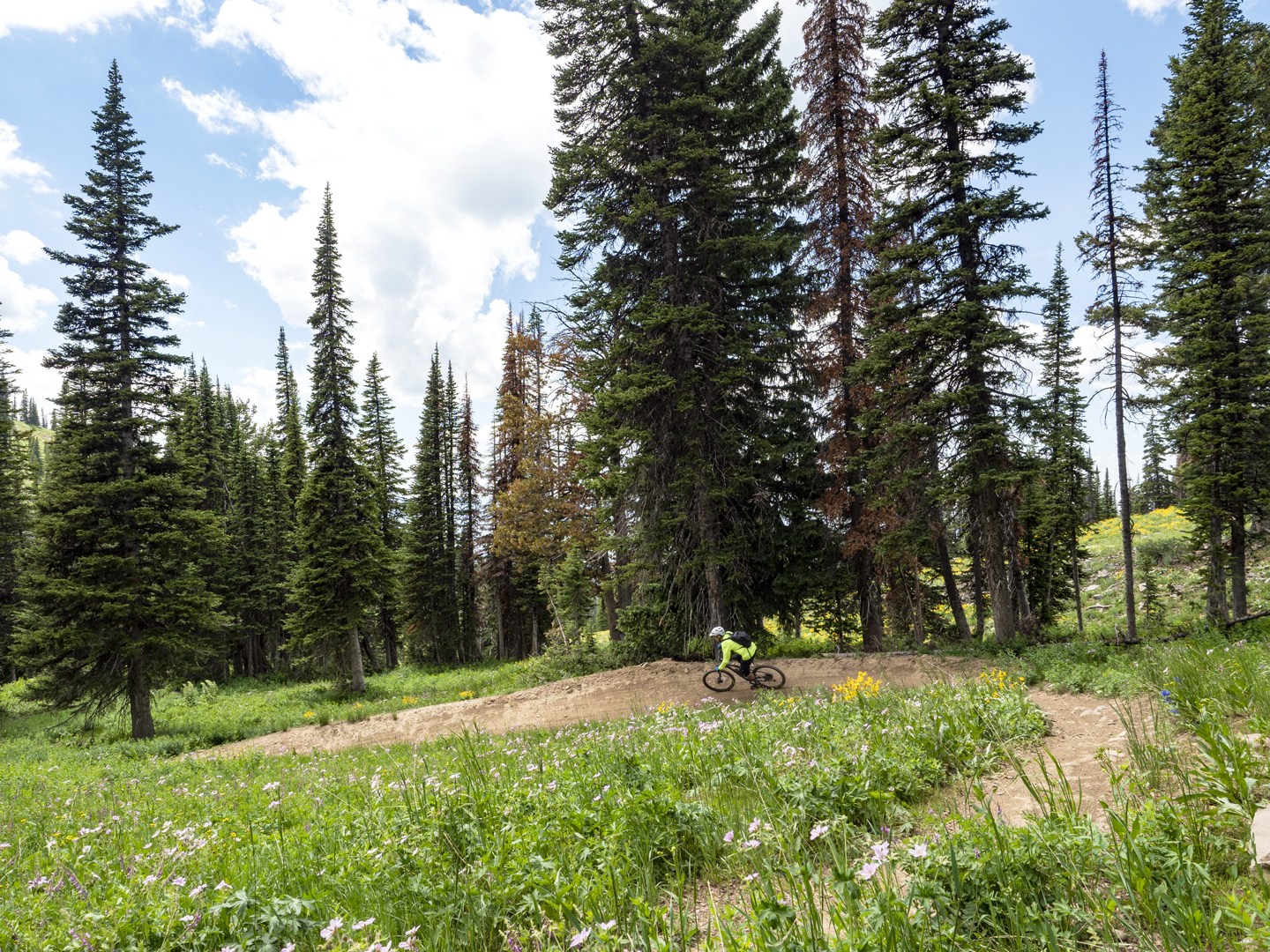 Grand Targhee Mountain Biking Wyoming Summer Norco Driggs Idaho