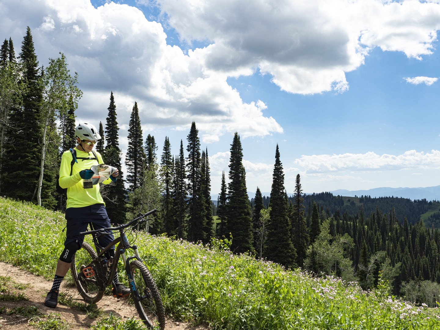 Grand targhee bike park online