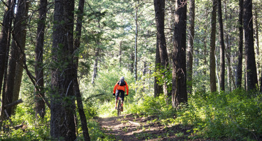 Mountain Biking Kelly Canyon Idaho