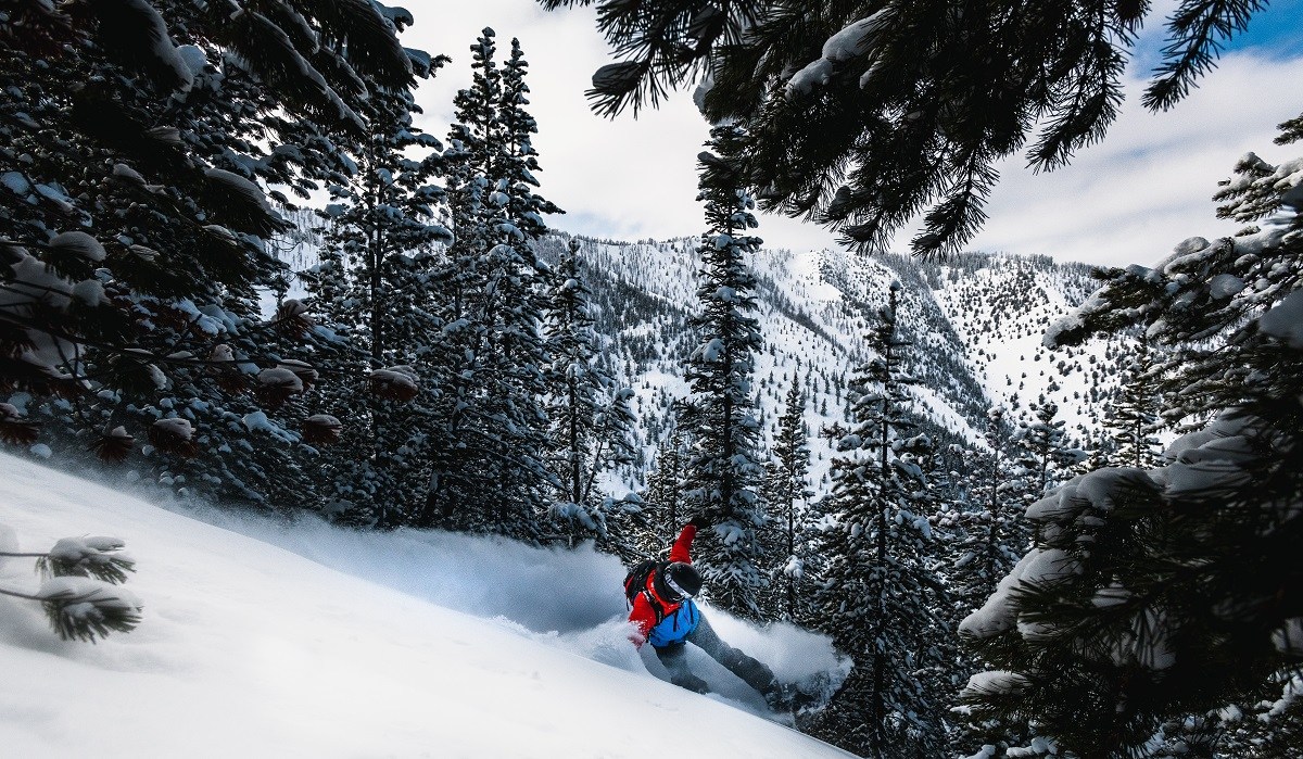 Panorama Mountain Catskiing Powder Highway Monster Terrain Snowboarder Pow Slash