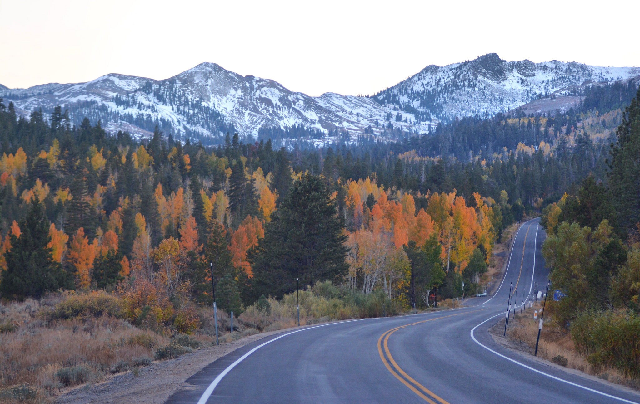 Hope Valley Kirkwood best Fall Foliage in the western US & Canada