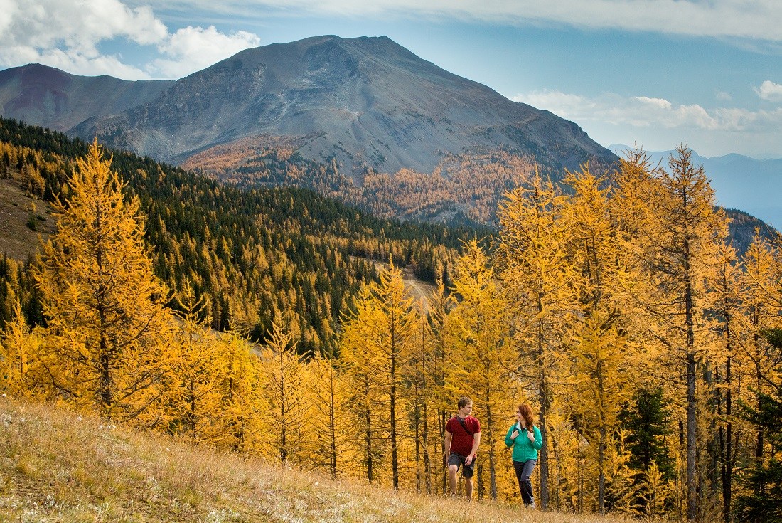 Larch Valley best Fall Foliage in the western US & Canada