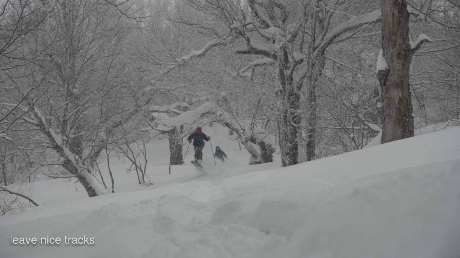 Vermont Backcountry Skiing RASTA Leave Nice Tracks