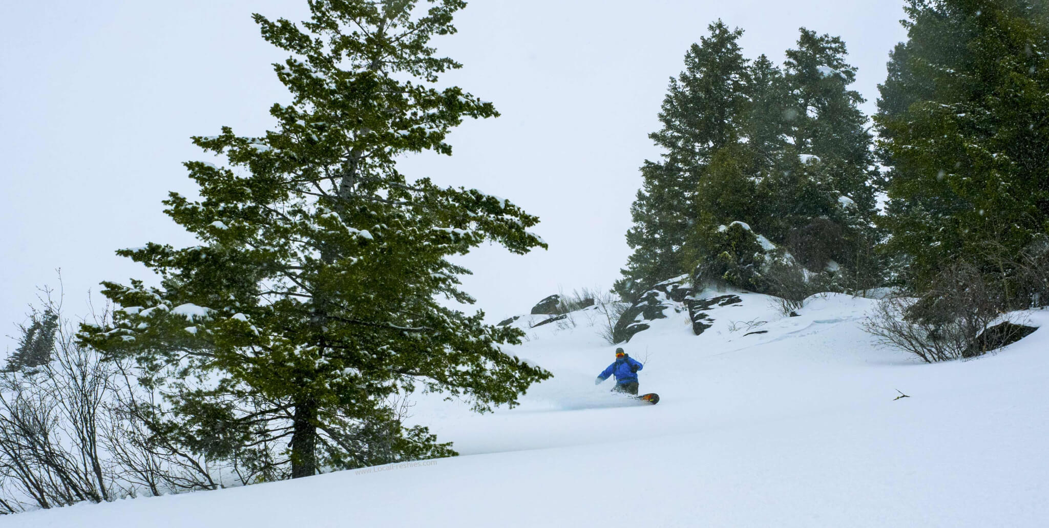 Snowboarding skiing powder at Tamarack Mountain Resort near Donnelly in Northern Idaho