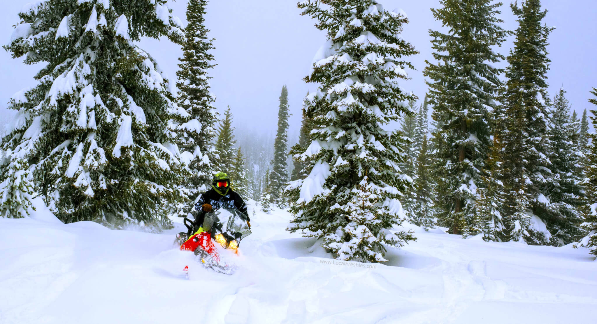 snowmobiling in the Payette National Forest near Brundage Resort by McCall Idaho