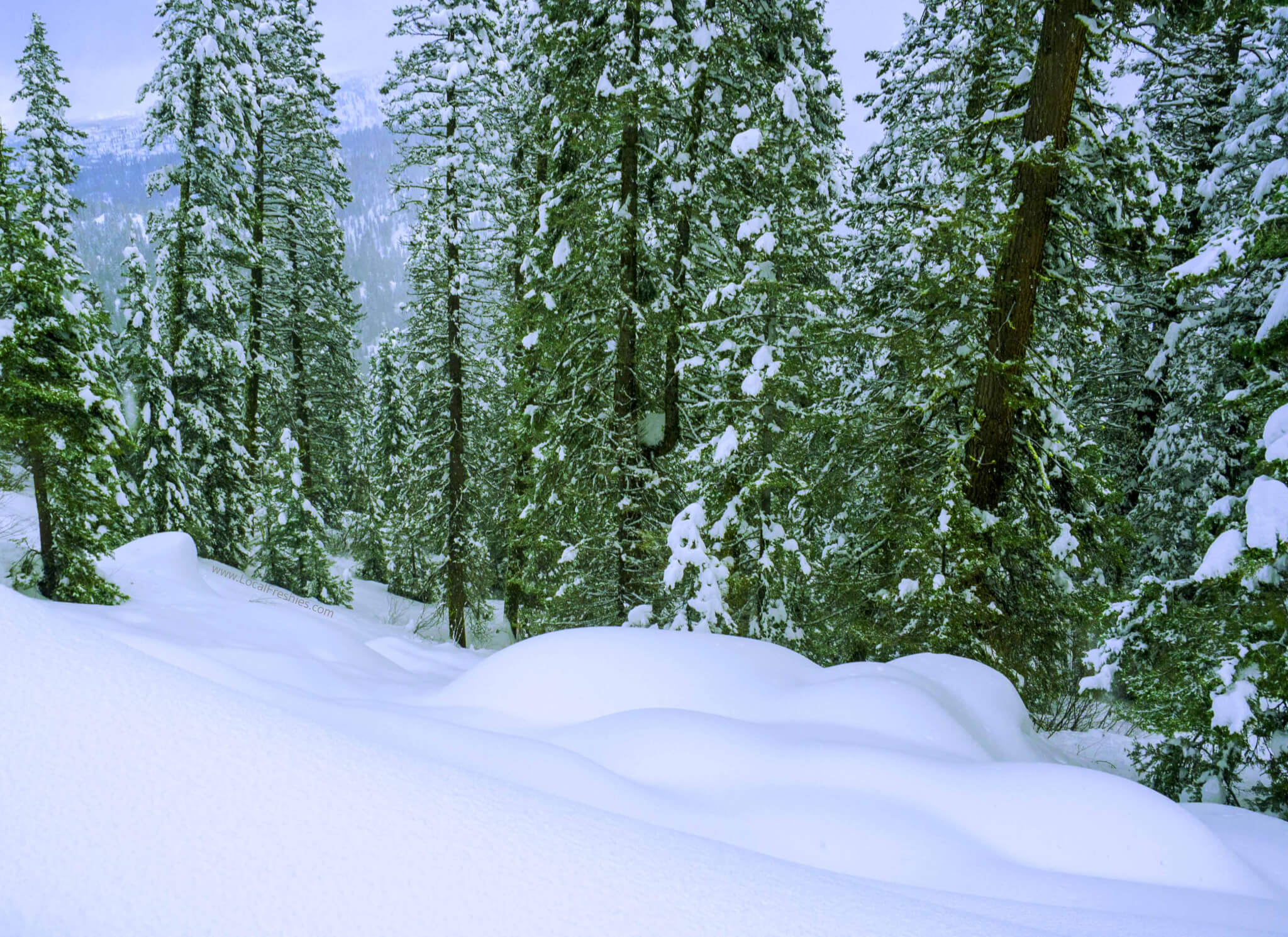 Backcountry skiing & snowboarding in the Payette National Forest near Brundage Resort by McCall Idaho