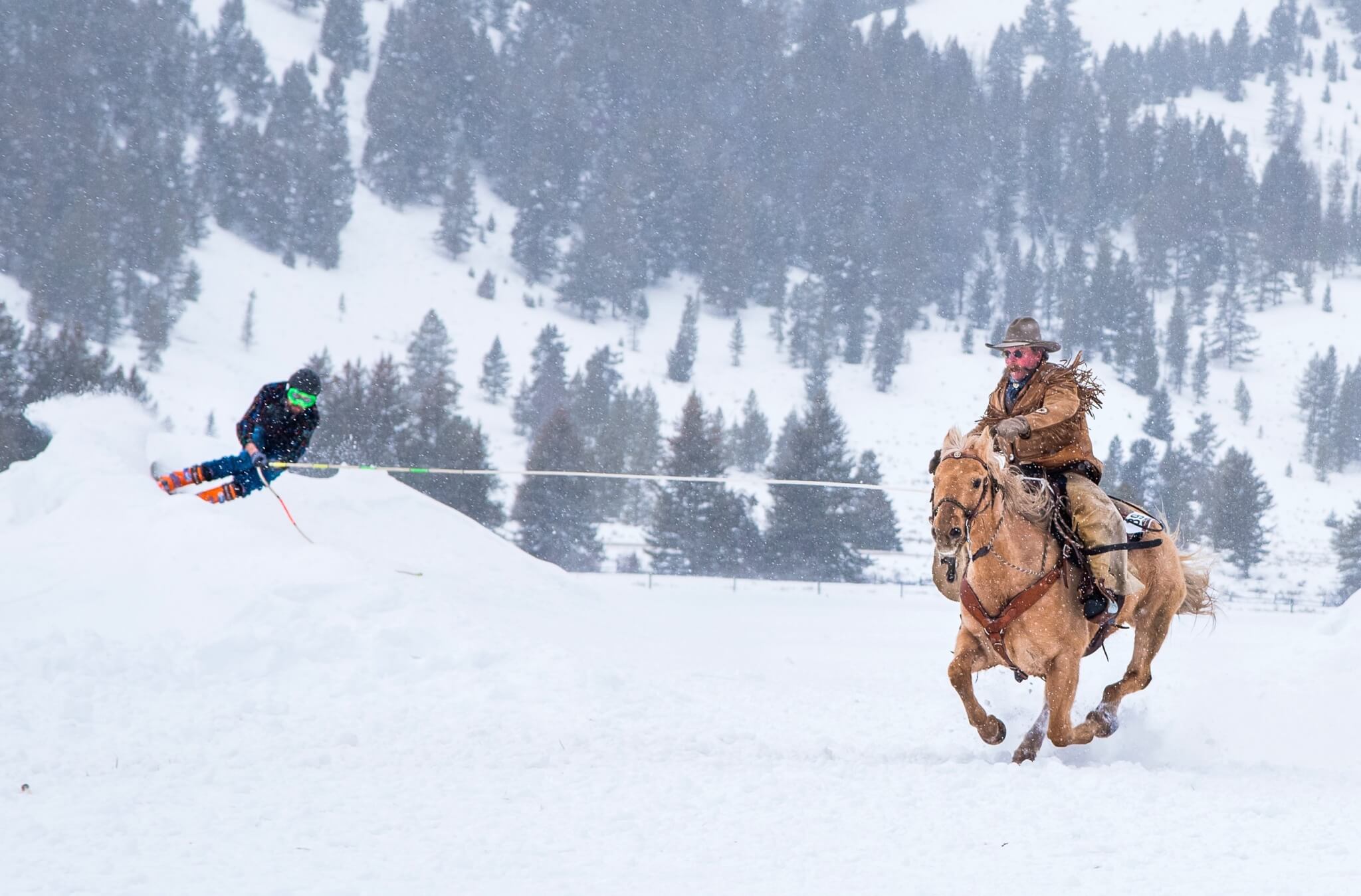 Steamboat Springs Skijoring 2024 Local Freshies