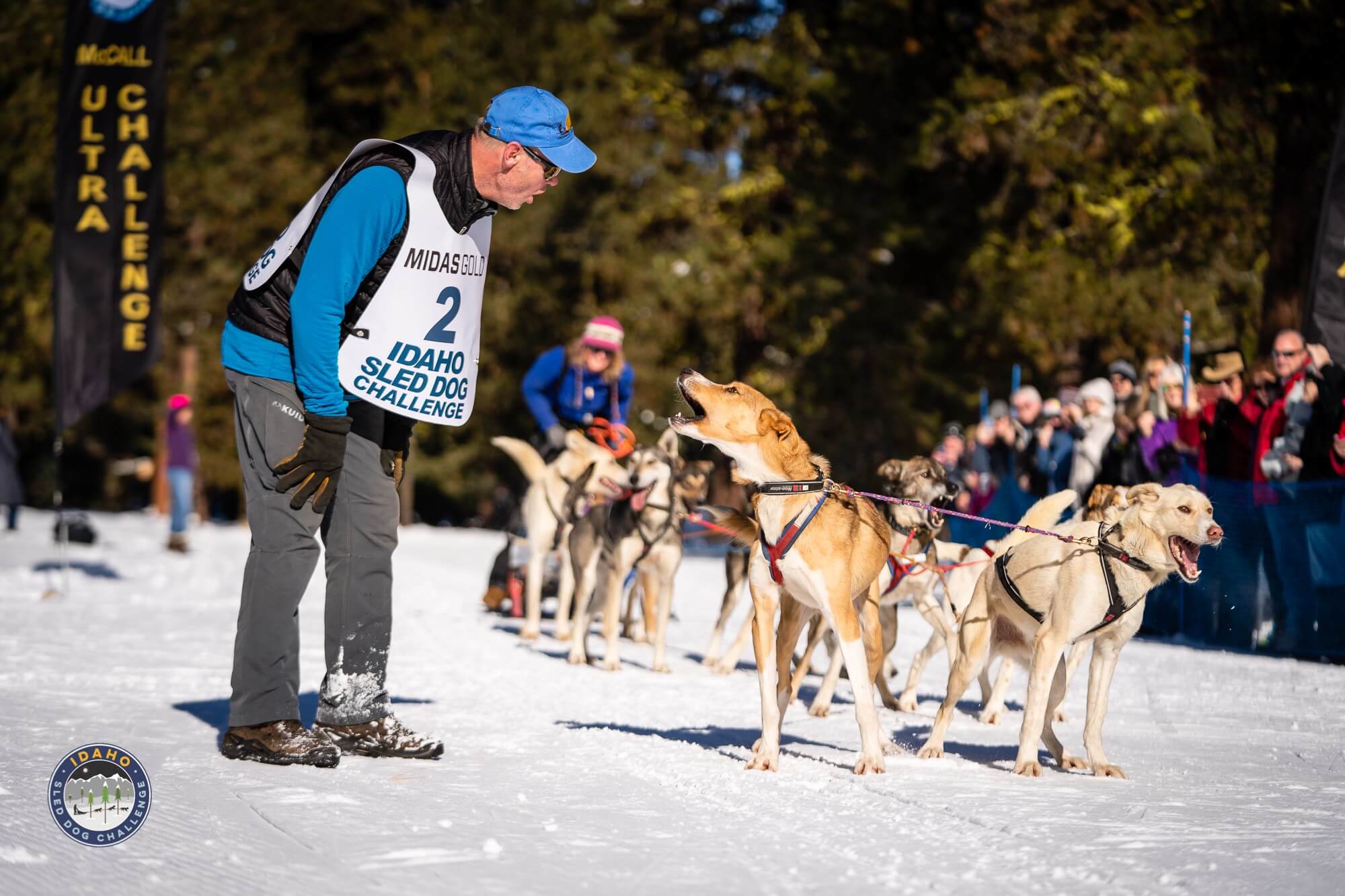 Idaho Dog Sled Challenge McCall Winter Carnival