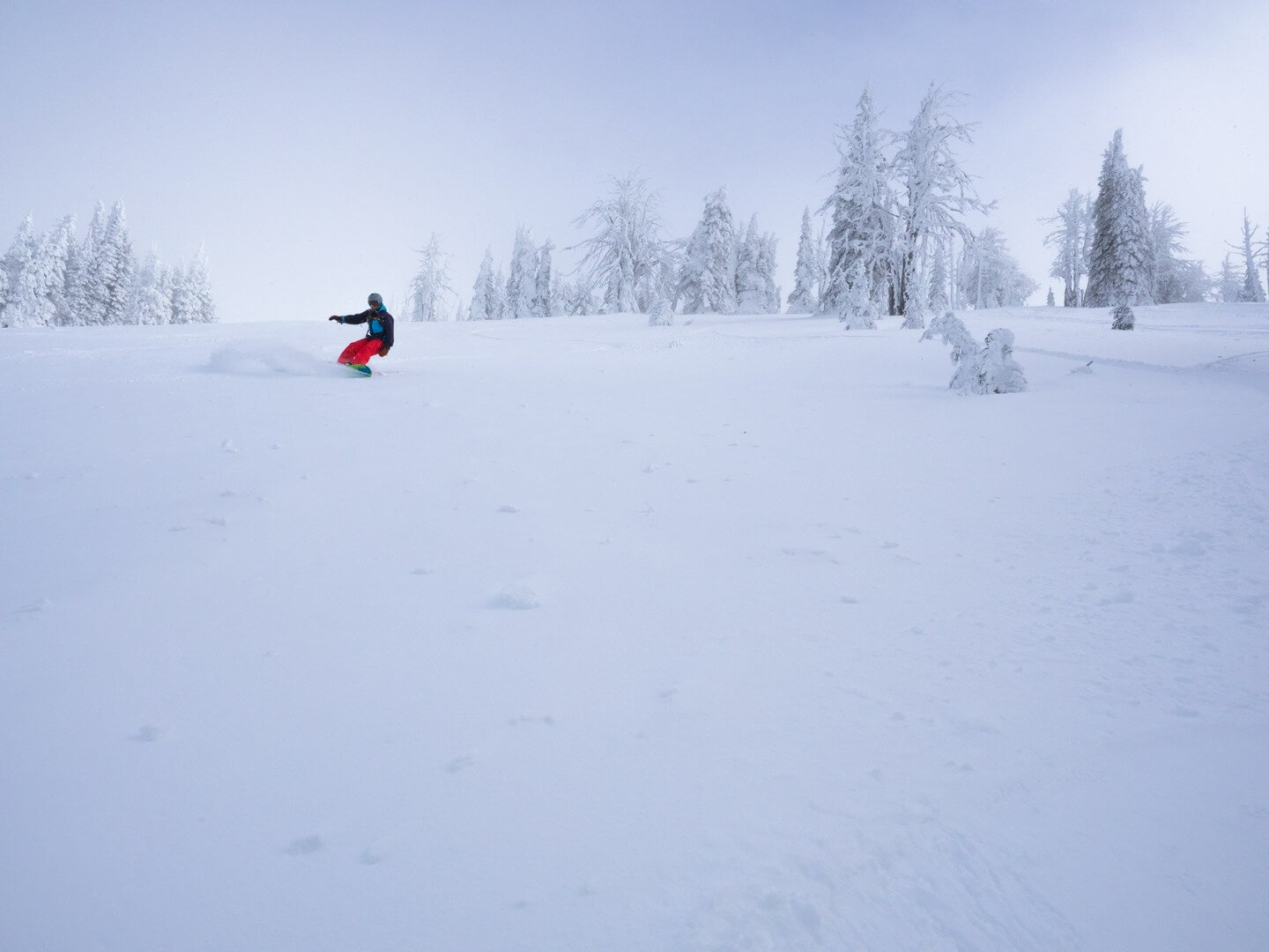 Snowboarder carving powder at Brundage Mountain near McCall Idaho with ghost trees