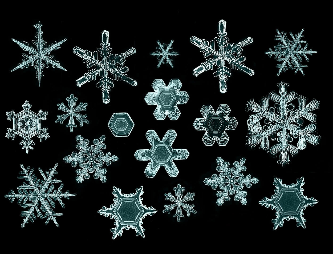 different types of snow