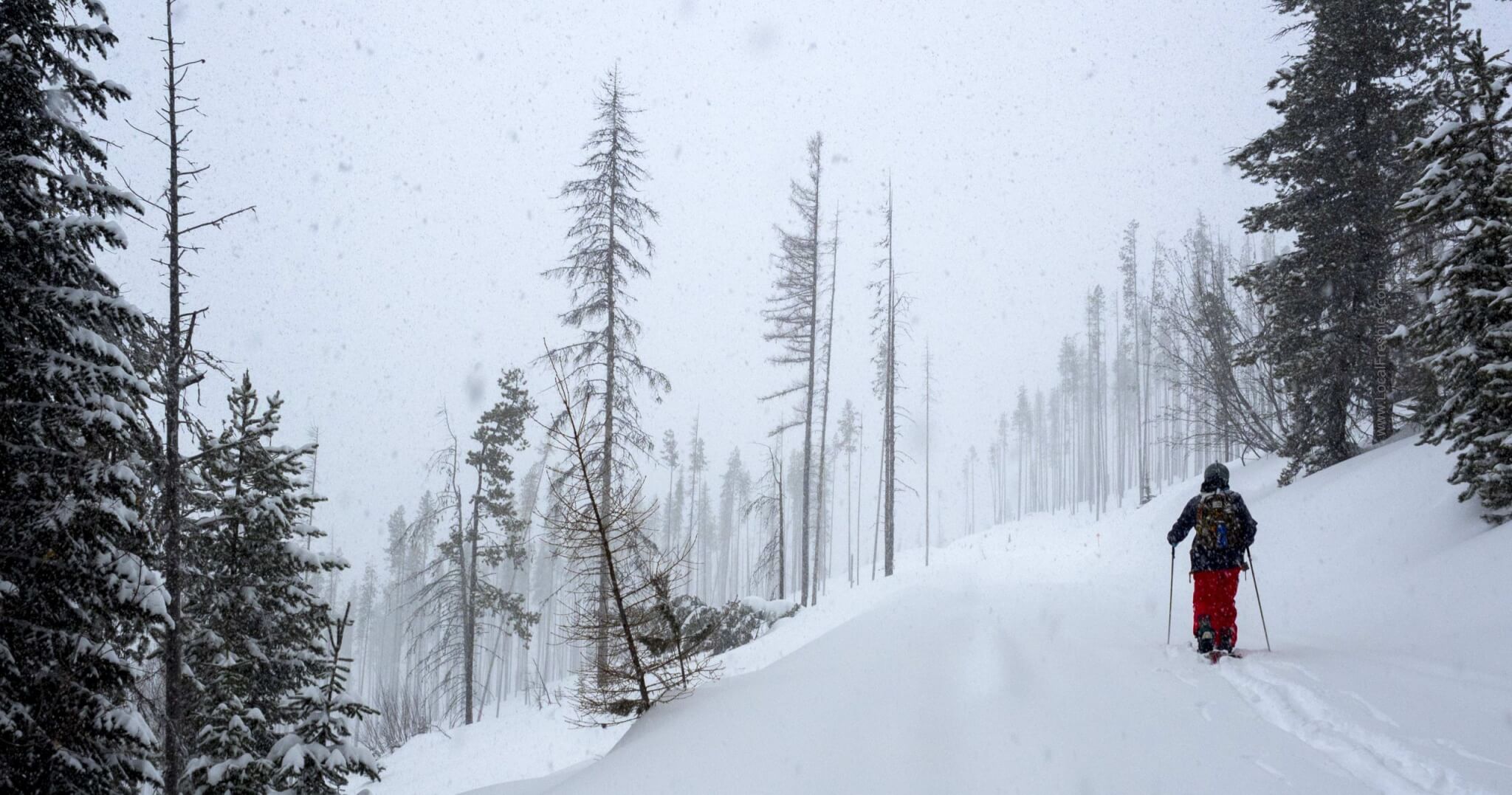 splitboarding in Lookout Pass backcountry during snowstorm