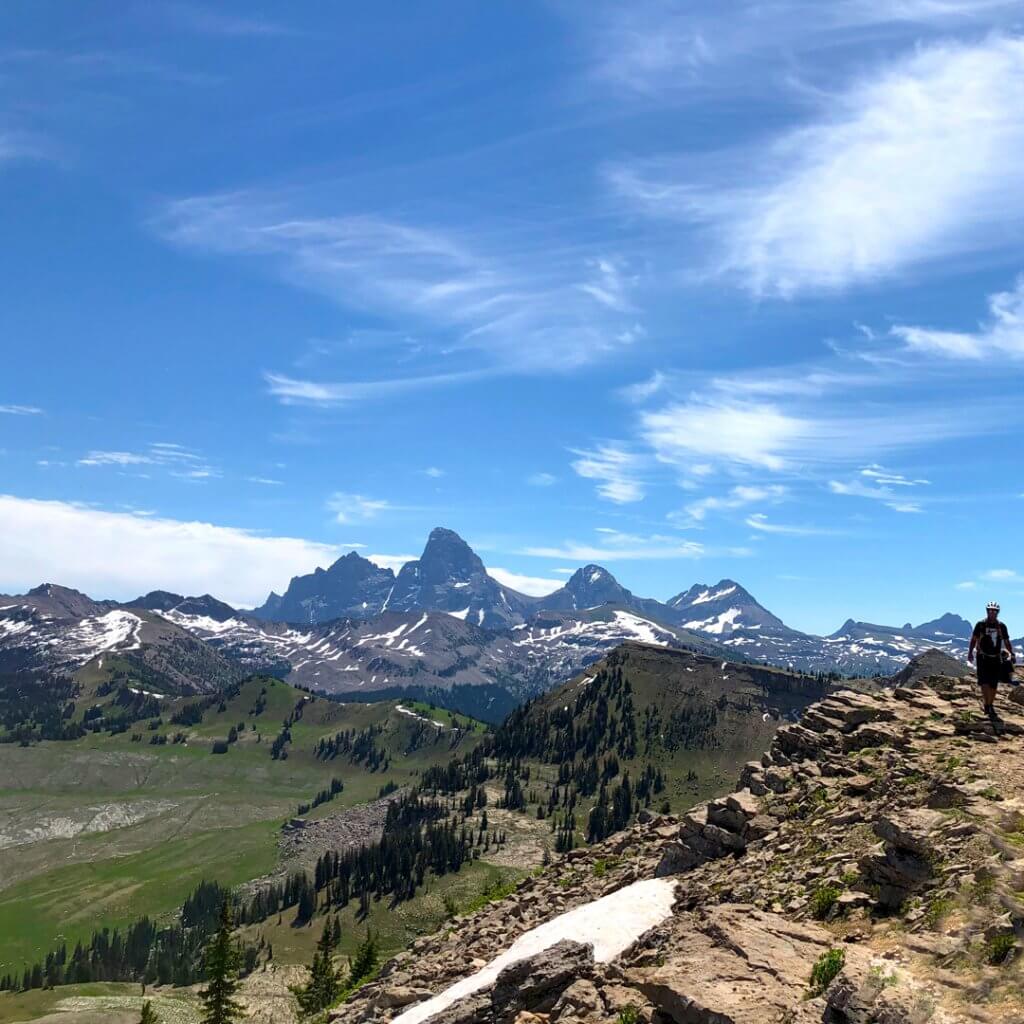 Bear. Bear. Cow. Mountain Biking Adventure In Horseshoe Canyon